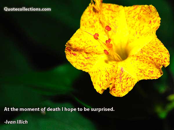 Ivan Illich Quotes6